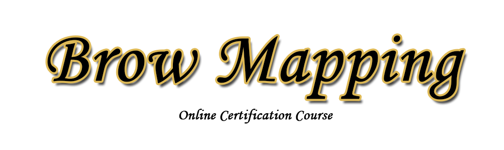 Brow Mapping Online Course Orig 
